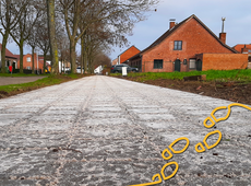 Lelies in de lente? De voetpaden groeien volop! 